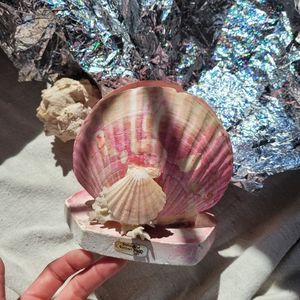 ♡ Vintage Seashell Art♡